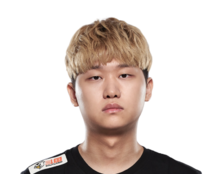 《LOL》blg战队队员介绍