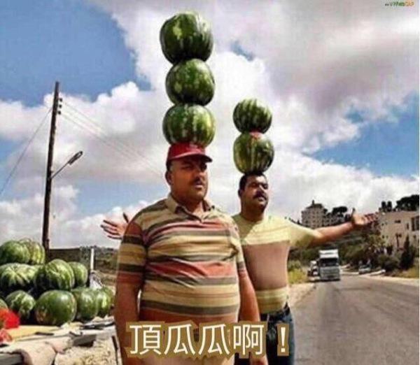 游戏宅春节假期行动计划