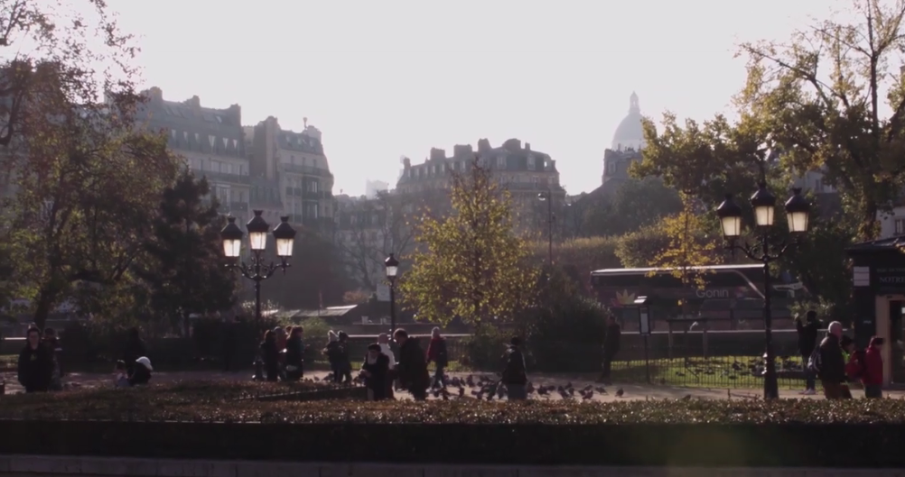 《守望先锋》新地图巴黎开发视频演示 关键是鸽子叫声