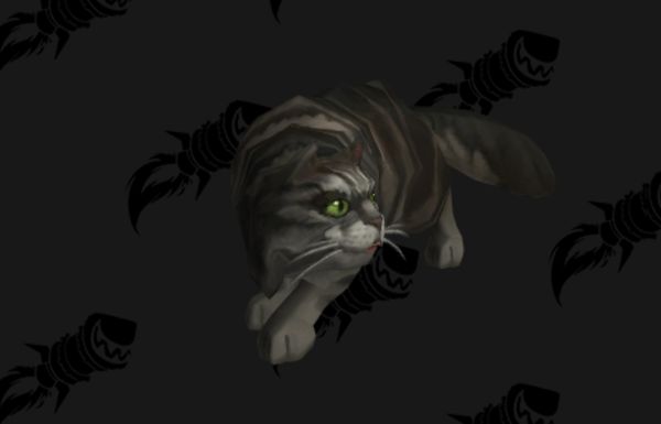 《魔兽世界》8.2.5版本加入解密猫咪战斗宠物