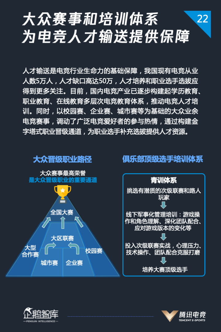 2020 全球电竞运动行业发展报告
