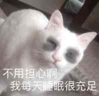 3DM最帅的男人现场丢人，你不来看吗？