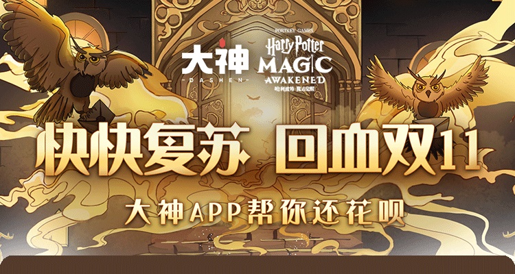 网易大神双十一特辑，《哈利波特：魔法觉醒》点亮钱包回血魔法