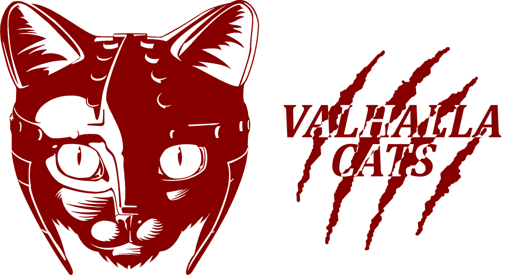 【游·见】专访Valhalla Cats：在废城画卷中，绘出一段爪间的温暖史诗