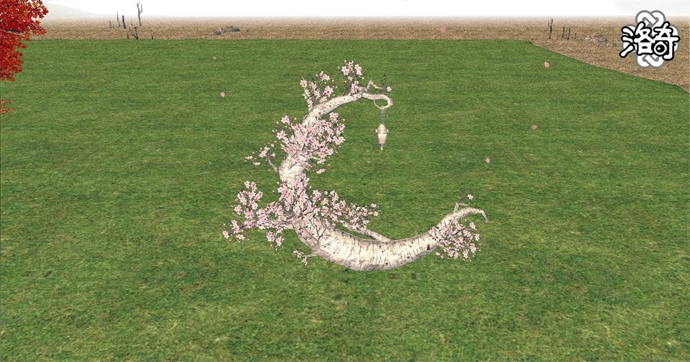 《洛奇》怦然心动 浪漫岛!