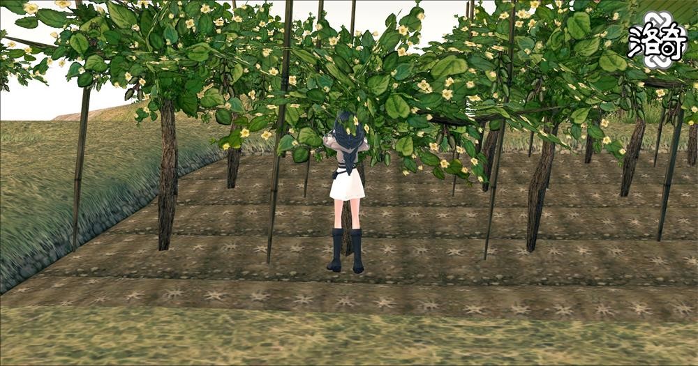 《洛奇》怦然心动 浪漫岛!