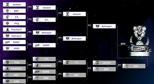 2025年永恒之塔APL全国锦标赛巅峰对决，圆满落幕!