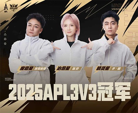 2025年永恒之塔APL全国锦标赛巅峰对决，圆满落幕!