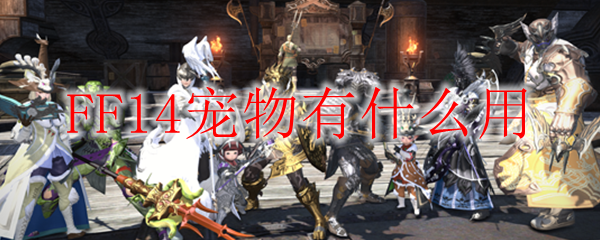 FF14宠物有什么用