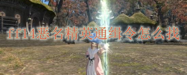 ff14恶名精英通缉令怎么找