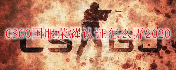 CSGO国服荣耀认证怎么弄2020