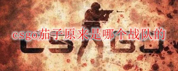 csgo茄子原来是哪个战队的