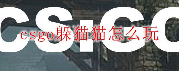 csgo躲猫猫怎么玩