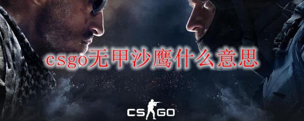 csgo无甲沙鹰什么意思