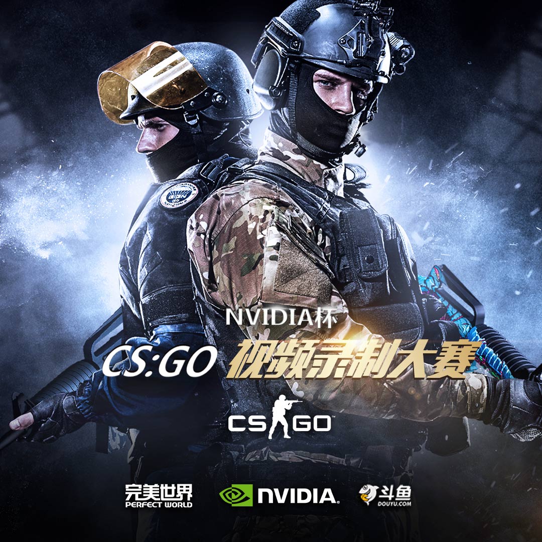 csgo无甲沙鹰什么意思