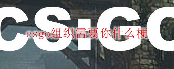 csgo组织需要你什么梗