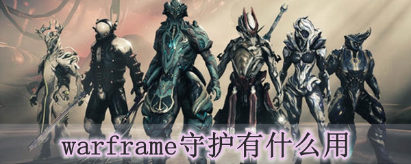 warframe守护有什么用