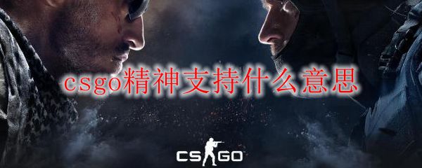 csgo精神支持什么意思