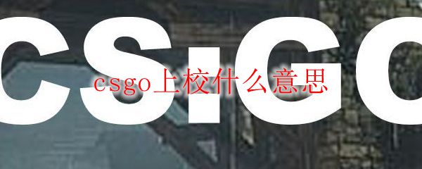 csgo上校什么意思