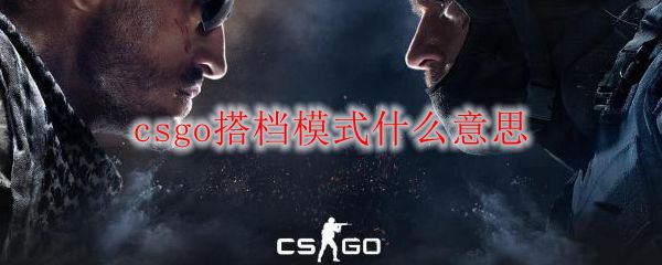 csgo搭档模式什么意思