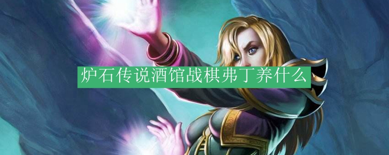 炉石传说酒馆战棋弗丁养什么