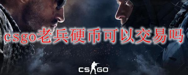 csgo老兵硬币可以交易吗