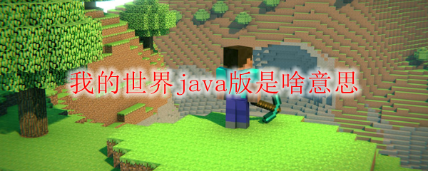 我的世界java版是啥意思