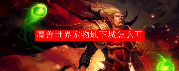 魔兽世界宠物地下城怎么开