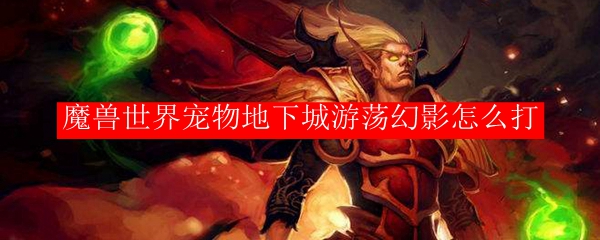 魔兽世界宠物地下城游荡幻影怎么打