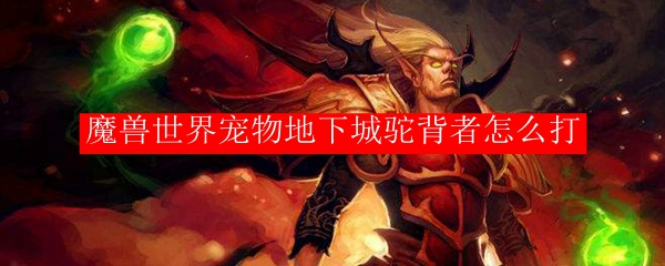 魔兽世界宠物地下城驼背者怎么打