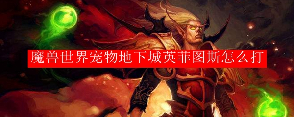 魔兽世界宠物地下城英菲图斯怎么打