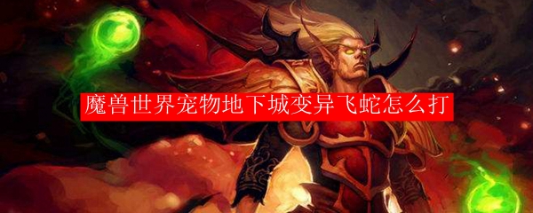 魔兽世界宠物地下城变异飞蛇怎么打