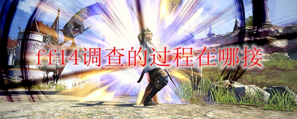 ff14调查的过程在哪接