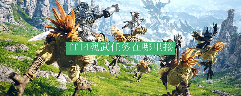 ff14魂武任务在哪里接