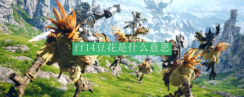 ff14豆花是什么意思