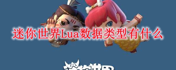 迷你世界Lua数据类型有什么