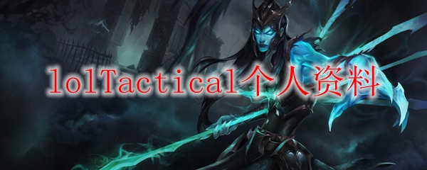 lolTactical个人资料