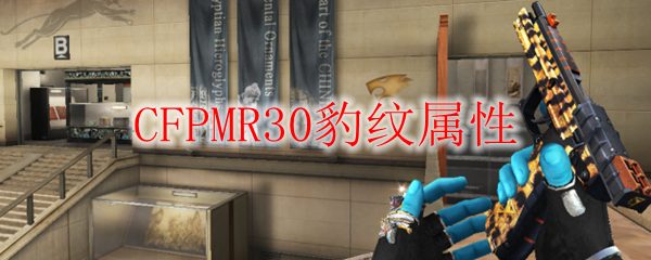 CFPMR30豹纹属性