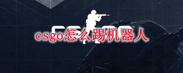 csgo怎么踢机器人