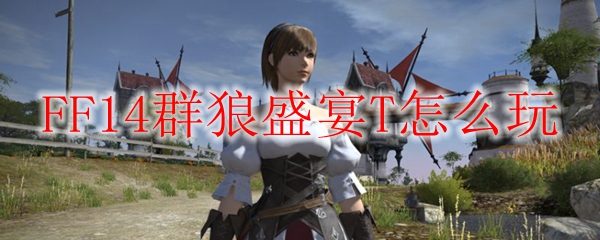 FF14群狼盛宴T怎么玩