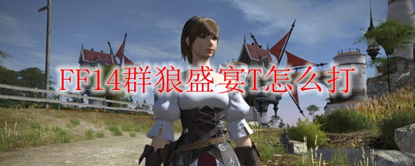 FF14群狼盛宴T怎么打