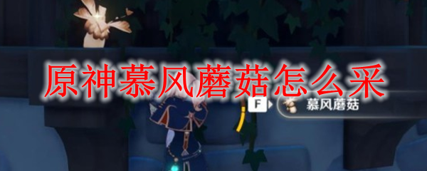 原神慕风蘑菇怎么采