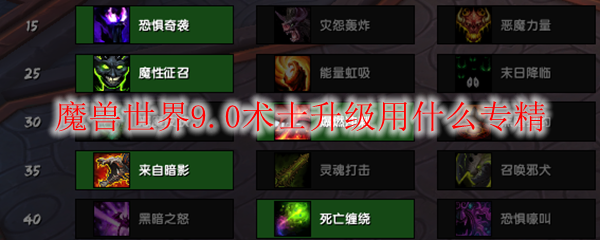 魔兽世界9.0术士升级用什么专精