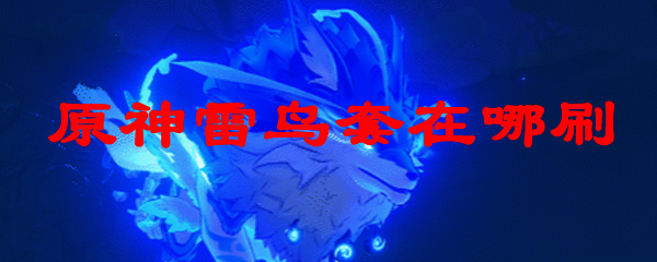 原神雷鸟套在哪刷