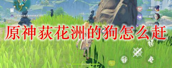原神荻花洲的狗怎么赶