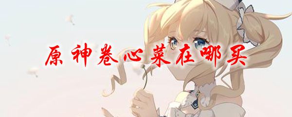 原神卷心菜在哪买