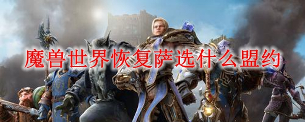 魔兽世界恢复萨选什么盟约