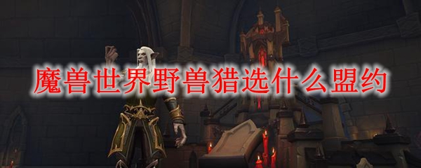 魔兽世界野兽猎选什么盟约