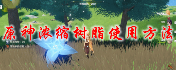 原神浓缩树脂使用方法