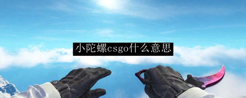 小陀螺csgo是啥意思